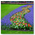 Pays-Bas KEUKENHOF 04-2023 n02